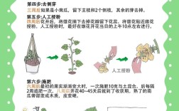 秋季露地南瓜种植，掌握这几个关键点，想不高产都难？