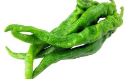 哪种蔬菜种植产量最高？