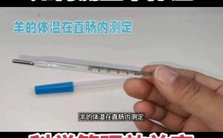 奶山羊养殖技术核心要点有哪些？