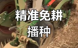 种免养殖视频如何高效播放与应用？