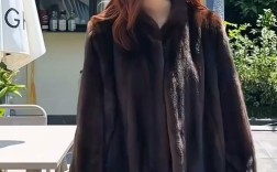 2025貂皮最新价格是多少？