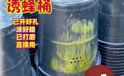 木桶养土蜂技术视频，新手必看哪些关键点？