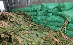 玉米秸秆青贮技术视频，如何高效青贮？