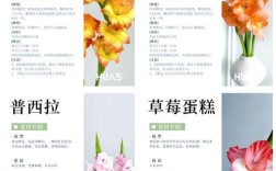 剑兰是兰花吗？还是只是名字像？