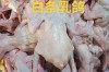 全国乳鸽最新价，各地差多少？