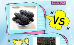 养殖海参价格多少一斤？