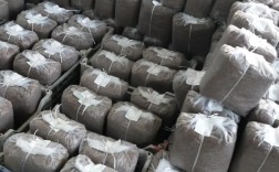 蘑菇香菇种植技术视频怎么学？