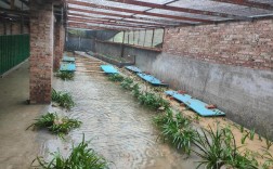 圈养林蛙养殖技术视频怎么学？