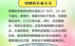 鲤鱼养殖技术视频，新手该怎么学？