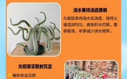 狐狸养殖如何有效防治疾病？