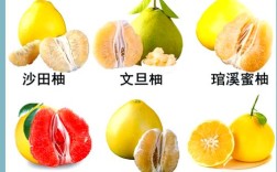 柚子品种这么多，哪些常见又好吃？