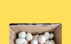 什么鹅品种最爱下蛋？