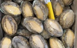 冷冻养殖鲍鱼价格为何波动？