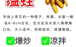 浙江缢蛏养殖价格新闻