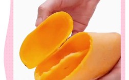 芒果管理技术视频教程