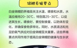 锦鲤 池塘 养殖技术