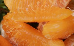 不知火行情价格现在是多少？