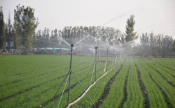 痕量灌溉技术如何实现节水与高效？