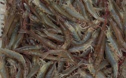 淡水虾养殖技术最新突破是什么？