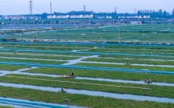 稻田如何开挖池塘养蟹？