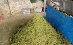 发酵青饲料养猪视频，技术要点有哪些？