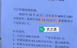 山东籽棉最新价格具体是多少？