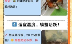 河蟹桂花鱼混养如何增效？