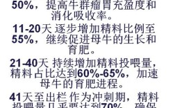 美国肉牛快速育肥技术有哪些核心要点？