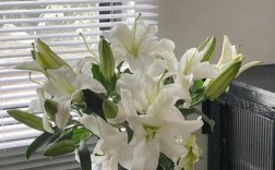 香水百合哪个品种最香？