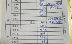 南京众彩龙虾统货价格今日如何？