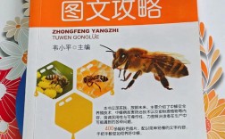 养蜂蜜蜂养殖技术PPT核心要点有哪些？