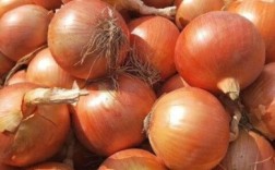 甘肃洋葱价格会涨还是跌？