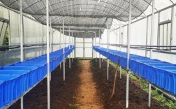 蚯�螂养殖技术有何差异与难点？