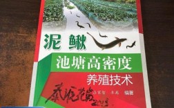 高密度泥鳅的养殖技术
