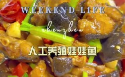 2025娃娃鱼最新价格多少？行情如何？