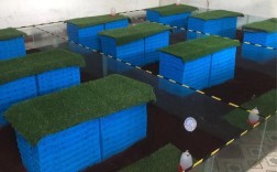 东北蜈蚣养殖技术视频怎么学？