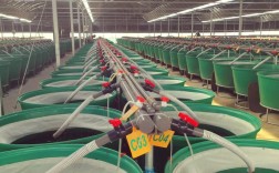 裕农世纪水蛭养殖技术，难点究竟在哪？