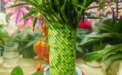 富贵竹品种有哪些？看图识花全在这！