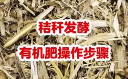稻草发酵技术视频直播，如何快速掌握关键要点？
