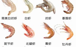中国淡水虾品种到底有多少种？