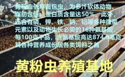 2025年黄粉虫收购价会涨还是跌？