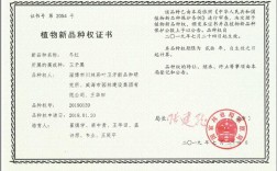 华康一号鳜鱼新品种有何优势？