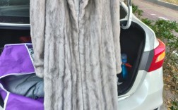 昌黎貂皮最新价格是多少？