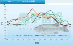 2025年鳗鱼价格会涨还是跌？