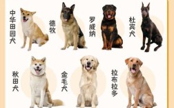 现在养肉狗什么品种最好？