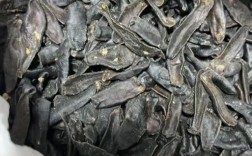 2025水蛭价格走势如何？