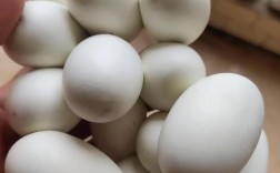 2025越南蛇蛋价格会涨还是跌？