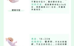 宠物蜥蜴品种多样，批发价格差异有多大？