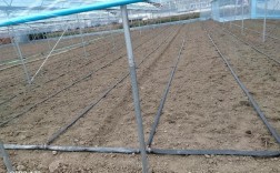 大棚冬季种植技术视频