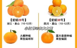 爱媛28柑橘品种有何特点？